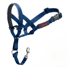 Load image into Gallery viewer, Company of Animals - Halti Headcollar