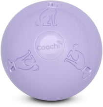 Load image into Gallery viewer, Coachi Boomi Ball
