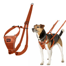 Load image into Gallery viewer, Halti No Pull Harness