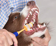 Load image into Gallery viewer, Arm &amp; Hammer Fresh Coconut Dental Kit Dogs