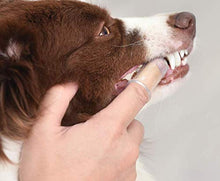 Load image into Gallery viewer, Arm &amp; Hammer Fresh Coconut Dental Kit Dogs