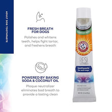 Load image into Gallery viewer, Arm &amp; Hammer Fresh Coconut Mint Toothpaste Dogs