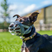 Load image into Gallery viewer, Baskerville INVISA Muzzle
