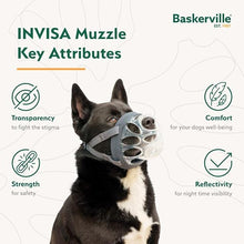 Load image into Gallery viewer, Baskerville INVISA Muzzle
