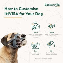 Load image into Gallery viewer, Baskerville INVISA Muzzle