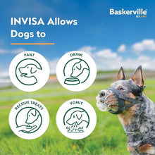 Load image into Gallery viewer, Baskerville INVISA Muzzle