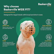 Load image into Gallery viewer, Baskerville Wide Fit