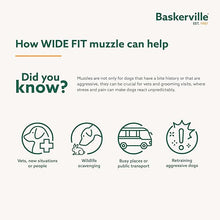 Load image into Gallery viewer, Baskerville Wide Fit
