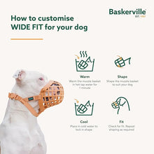 Load image into Gallery viewer, Baskerville Wide Fit