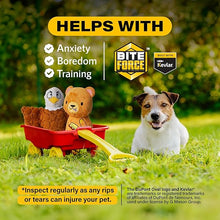 Load image into Gallery viewer, Bite Force Built w. Kevlar Tough Plush - Eagle
