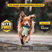 Load image into Gallery viewer, Bite Force Built w. Kevlar Tough Plush - Racoon