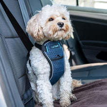 Load image into Gallery viewer, CarSafe Crash Tested Dog Harness