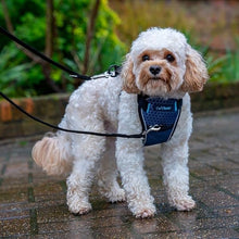 Load image into Gallery viewer, CarSafe Crash Tested Dog Harness