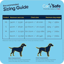 Load image into Gallery viewer, CarSafe Crash Tested Dog Harness