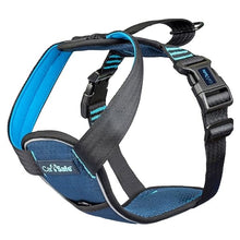 Load image into Gallery viewer, CarSafe Crash Tested Dog Harness
