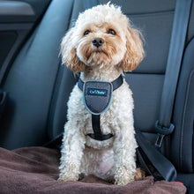 Load image into Gallery viewer, CarSafe Dog Travel Harness