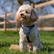 Load image into Gallery viewer, CarSafe Dog Travel Harness