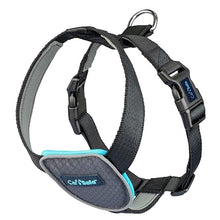 Load image into Gallery viewer, CarSafe Dog Travel Harness