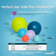 Load image into Gallery viewer, Coachi Boomi Ball