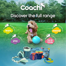 Load image into Gallery viewer, Coachi Boomi Ball