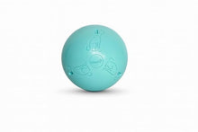 Load image into Gallery viewer, Coachi Boomi Ball