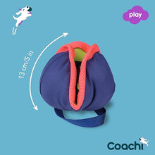 Load image into Gallery viewer, Coachi Chase &amp; Treat Navy, Lime &amp; Coral