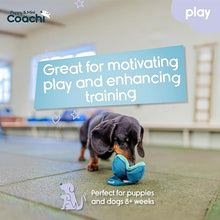 Load image into Gallery viewer, Coachi Puppy &amp; Mini Chase &amp; Treat Teal &amp; Mint