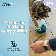 Load image into Gallery viewer, Coachi Puppy &amp; Mini Chase &amp; Treat Teal &amp; Mint