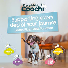 Load image into Gallery viewer, Coachi Puppy &amp; Mini Chase &amp; Treat Teal &amp; Mint