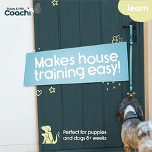 Load image into Gallery viewer, Coachi Puppy &amp; Mini Toilet Bells Teal &amp; Mint