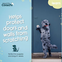 Load image into Gallery viewer, Coachi Puppy &amp; Mini Toilet Bells Teal &amp; Mint
