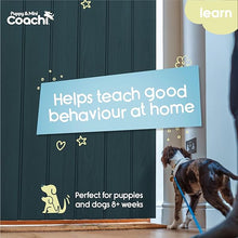 Load image into Gallery viewer, Coachi Puppy &amp; Mini Training Line Teal