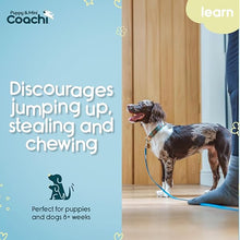 Load image into Gallery viewer, Coachi Puppy &amp; Mini Training Line Teal