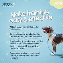 Load image into Gallery viewer, Coachi Puppy &amp; Mini Training Line Teal