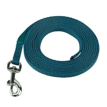 Load image into Gallery viewer, Coachi Puppy &amp; Mini Training Line Teal