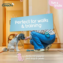 Load image into Gallery viewer, Coachi Puppy &amp; Mini Treat Pouch Teal &amp; Mint