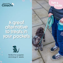 Load image into Gallery viewer, Coachi Puppy &amp; Mini Treat Pouch Teal &amp; Mint