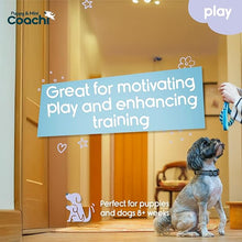 Load image into Gallery viewer, Coachi Puppy &amp; Mini Tuggi Helix Teal &amp; Mint