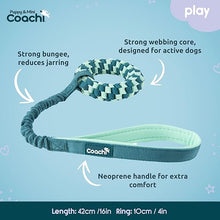 Load image into Gallery viewer, Coachi Puppy &amp; Mini Tuggi Helix Teal &amp; Mint