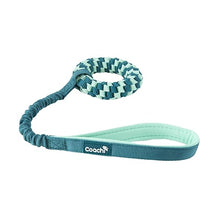 Load image into Gallery viewer, Coachi Puppy &amp; Mini Tuggi Helix Teal &amp; Mint
