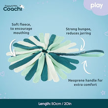 Load image into Gallery viewer, Coachi Puppy &amp; Mini Tuggi Spider Teal &amp; Mint