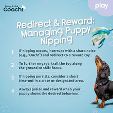 Load image into Gallery viewer, Coachi Puppy &amp; Mini Tuggi Spider Teal &amp; Mint