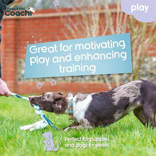 Load image into Gallery viewer, Coachi Puppy &amp; Mini Tuggi Tug Teal &amp; Mint