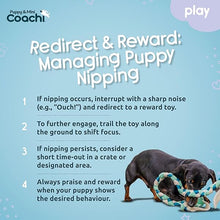 Load image into Gallery viewer, Coachi Puppy &amp; Mini Tuggi Tug Teal &amp; Mint