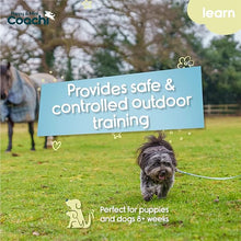 Load image into Gallery viewer, Coachi Puppy &amp; Mini Waterproof Line Teal &amp; Mint