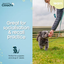 Load image into Gallery viewer, Coachi Puppy &amp; Mini Waterproof Line Teal &amp; Mint