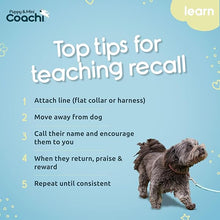 Load image into Gallery viewer, Coachi Puppy &amp; Mini Waterproof Line Teal &amp; Mint