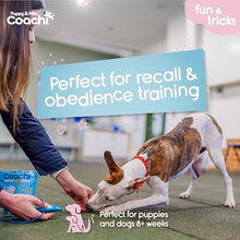 Load image into Gallery viewer, Coachi Puppy &amp; Mini Whizzclick Teal &amp; Mint