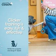 Load image into Gallery viewer, Coachi Puppy &amp; Mini Whizzclick Teal &amp; Mint