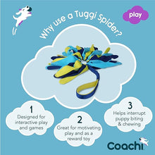 Load image into Gallery viewer, Coachi Tuggi Spider Navy, Lime &amp; Light Blue